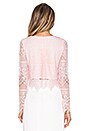 view 3 of 4 BLACK Lace Long Sleeve Crop Top in Blush