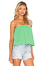 view 2 of 4 Beach Gauze Strapless Top in Cactus