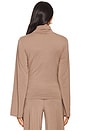 view 3 of 4 Long Sleeve in Hazelnut