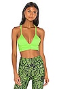 view 1 of 4 Scrunchy Sports Bra in Lime