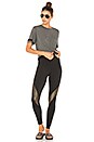 view 4 of 4 Claudia Legging in Black & Bronze