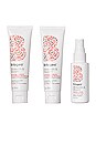 view 2 of 2 Blossom & Bloom Volumizing Travel Kit in 