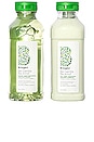 view 1 of 3 Superfoods Apple, Matcha And Kale Replenishing Shampoo And Conditioner Duo in 