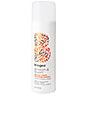 view 1 of 1 Blossom & Bloom Ginseng + Biotin Volumizing Shampoo in 