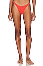 view 1 of 4 Scene Bikini Bottom in Coral Tiger