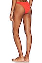 view 3 of 4 Scene Bikini Bottom in Coral Tiger