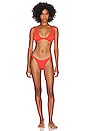 view 4 of 4 Scene Bikini Bottom in Coral Tiger
