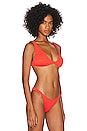 view 2 of 4 Scout Bikini Top in Coral Tiger
