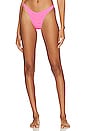 view 1 of 5 BAS DE MAILLOT DE BAIN SCENE in Pink Tiger