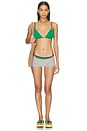 view 4 of 4 Idris Triangle Bikini Top in Jade Green