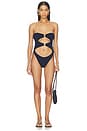 view 1 of 3 MAILLOT DE BAIN 1 PIÈCE LARK in Onyx Leopard