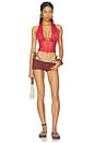 view 5 of 5 BRAGUITA BIKINI BEADED VISTA in Sable Dot Stripe