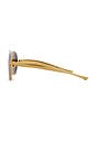 view 3 of 3 Sardine Sunglasses in Gold & Brown
