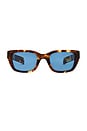 view 1 of 3 Acetate Sunglasses in Havana & Blue