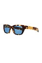 view 2 of 3 Acetate Sunglasses in Havana & Blue
