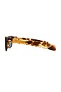 view 3 of 3 Acetate Sunglasses in Havana & Blue