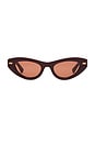view 1 of 3 Bold Ribbon Stud Sunglasses in Burgundy & Brown