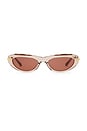 view 1 of 3 Oval Sunglasses in Brown