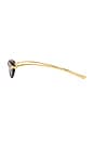 view 3 of 3 New Knot Sunglasses in Havana, Gold, & Brown