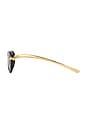 view 3 of 3 New Knot Sunglasses in Black & Gold