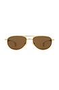 view 1 of 3 Fin Sunglasses in Gold & Brown