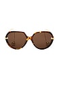 view 1 of 3 Drop Sunglasses in Havana & Brown