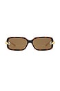 view 1 of 3 Rectangular Sunglasses in Burgundy, Gold, & Brown
