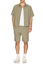 view 3 of 5 Gingham Shorts in Olive