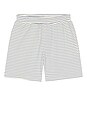 view 4 of 5 Stripe Jacquard Shorts in Ocean