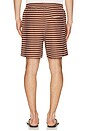 view 2 of 5 Stripe Jacquard Shorts in Rust