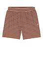 view 4 of 5 Stripe Jacquard Shorts in Rust