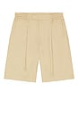 view 4 of 4 Wide Pleated Cotton Short in Camel