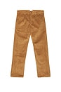 view 1 of 5 Wide Leg Cord Trouser in Pecan Brown