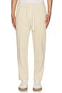 view 4 of 6 Straight Leg Pleat Joggers in Cream