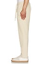 view 5 of 6 Straight Leg Pleat Joggers in Cream
