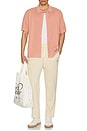 view 6 of 6 Straight Leg Pleat Joggers in Cream