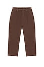 view 5 of 5 Heavy Canvas Workwear Trouser in Brown