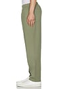 view 2 of 4 William Staple Cotton Trouser in Olive