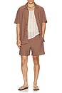 view 3 of 5 STRIPE 셔츠 in Rust