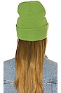 view 2 of 3 Jordana Beanie in Chamrock