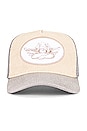 view 3 of 3 Boys Lie Trucker Hat in Vanilla