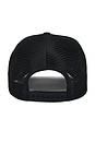 view 3 of 3 Driver's License Trucker Hat in Black