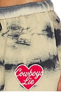 view 6 of 6 Cowboys Lie Brushed Fleece Basic Short in Sand Multi