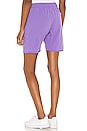 view 3 of 4 V3 Shorts in Purple