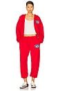 view 4 of 4 Red Flags Harley Zip Hoodie in Red