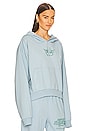 view 2 of 4 Cupid's Liquor Hoodie in Sky Blue