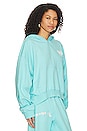 view 2 of 5 Truth Hoodie in Turquoise
