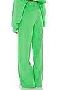 view 3 of 4 Toxic Love Brady Pant in Green