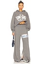 view 6 of 7 Driver's License Pants in Grey