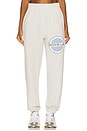 view 1 of 6 Pamela V4 Mac Slim Pants in Grey